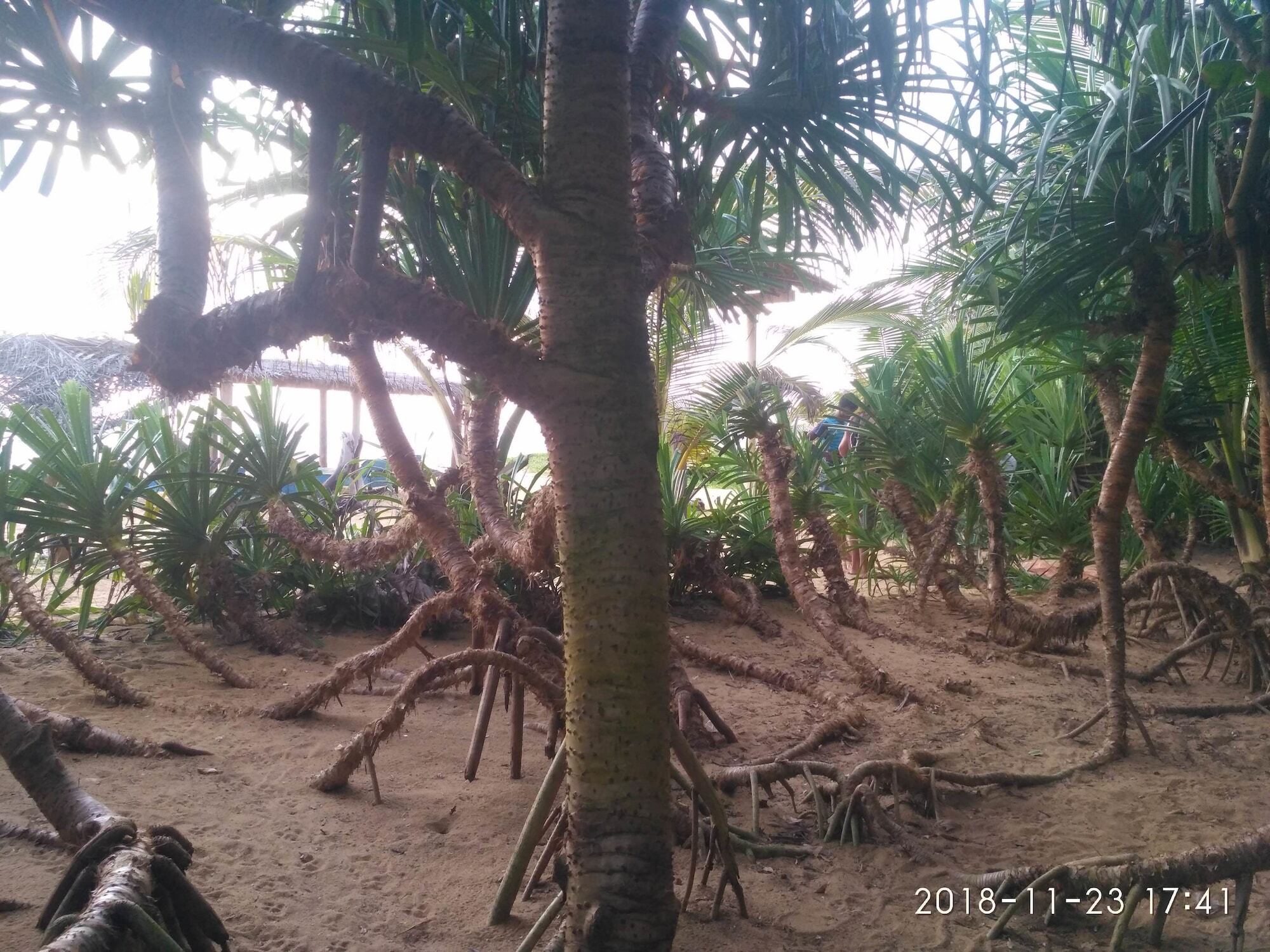 Ravana - Beach Cabanas Hikkaduwa Esterno foto